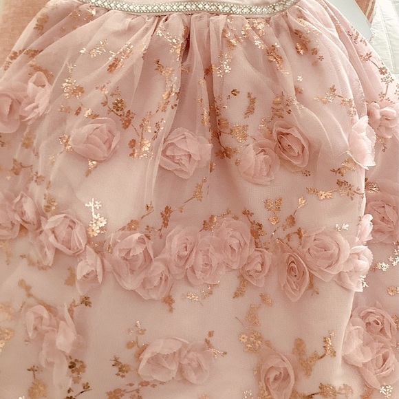 NWT BlueBeri Pink Layered dress, silver/gold accents, rows of flowers - Picture 10 of 11